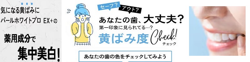 ���ꂩ��̎������̓p�[���z���C�gPROEX�B���T�C�g